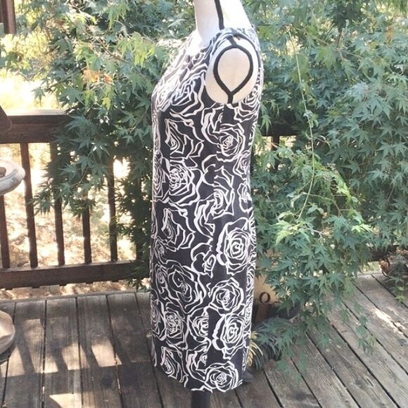 HOST PICK! 🌷Brooks Brothers Cotton Sheath Dress. 💐🌸🌹🥀🌺🌼🌷🪻⚘️ - Picture 4 of 11